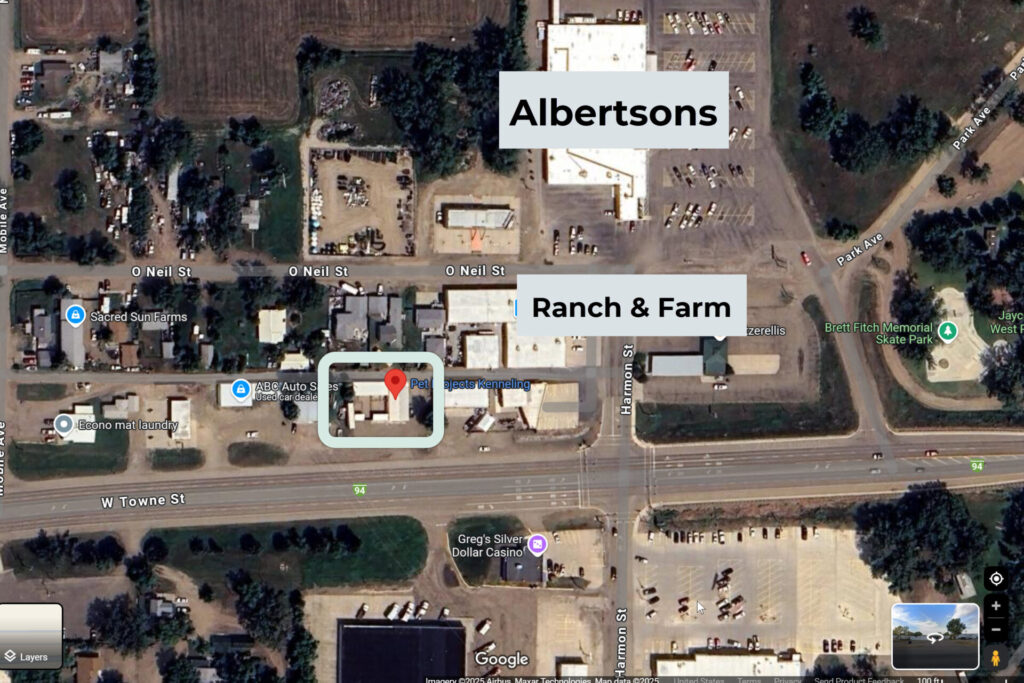 screenshot of google maps