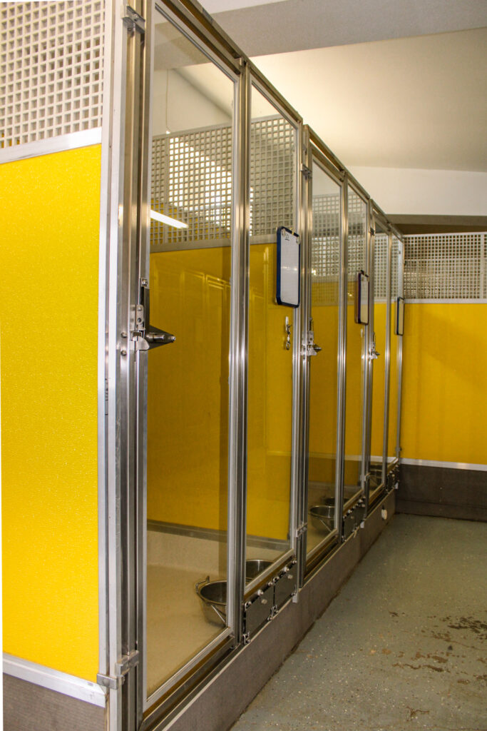 separate kennels